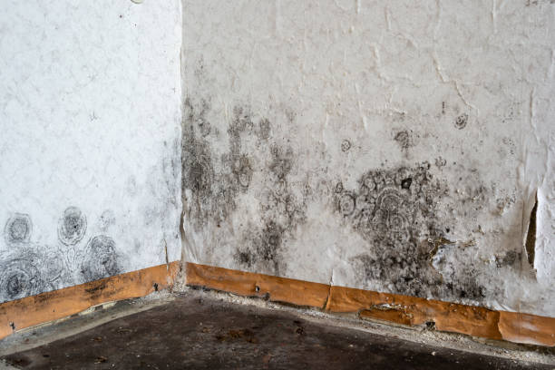 Water damage restoration process